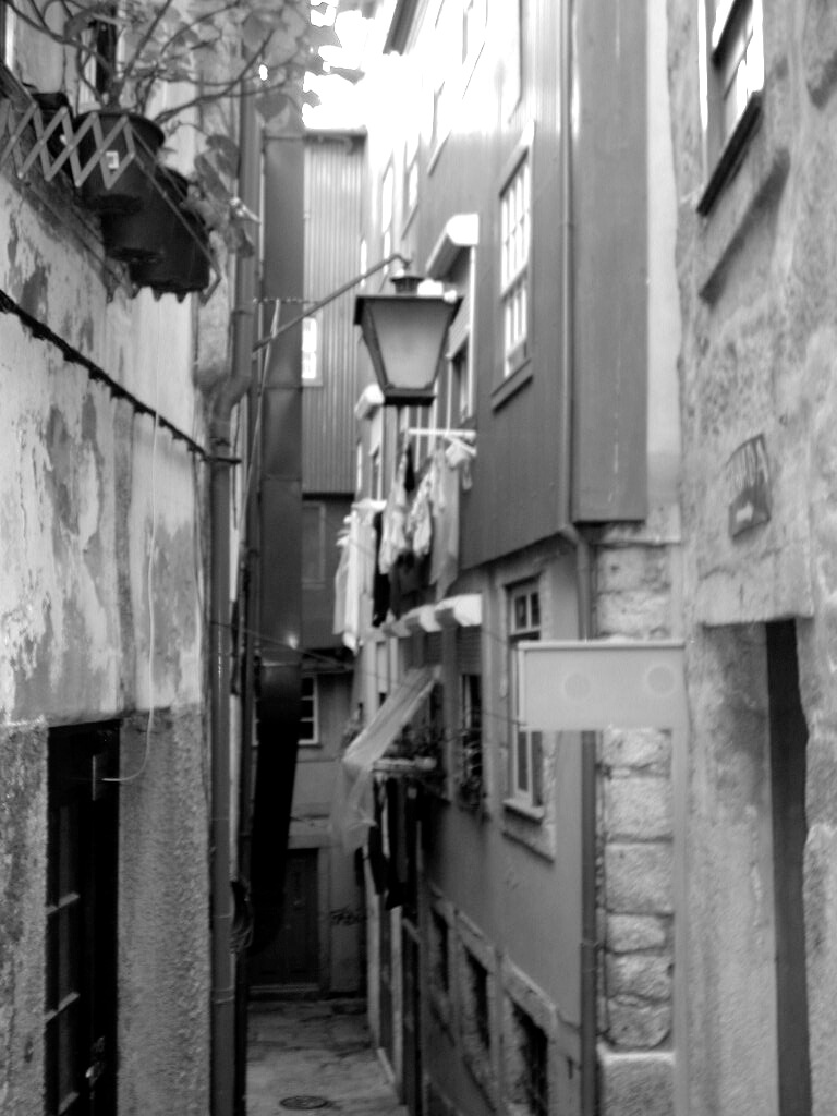 DSCN1053
