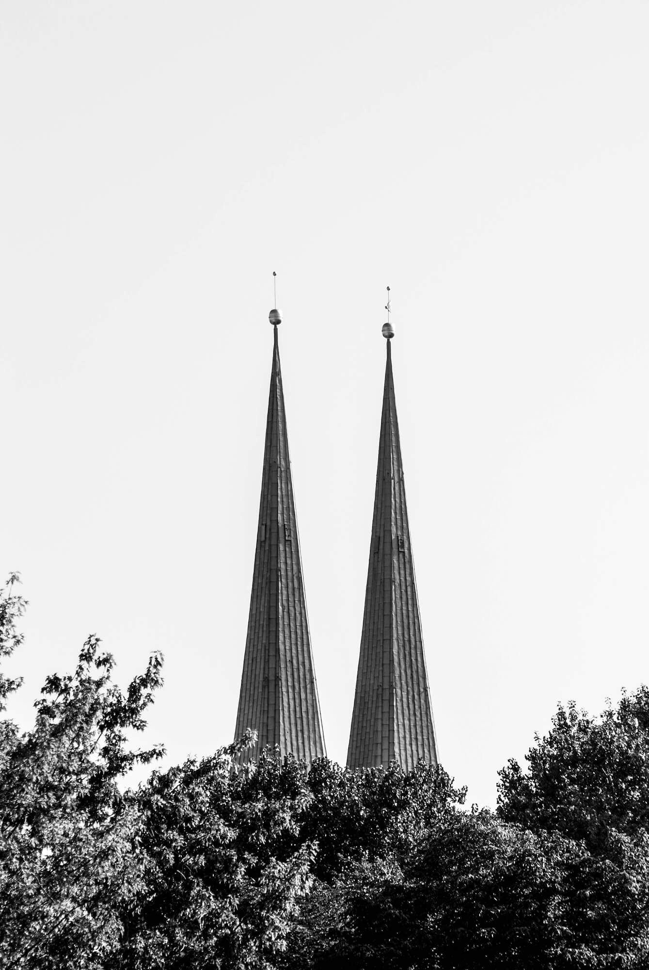 DSC_0133