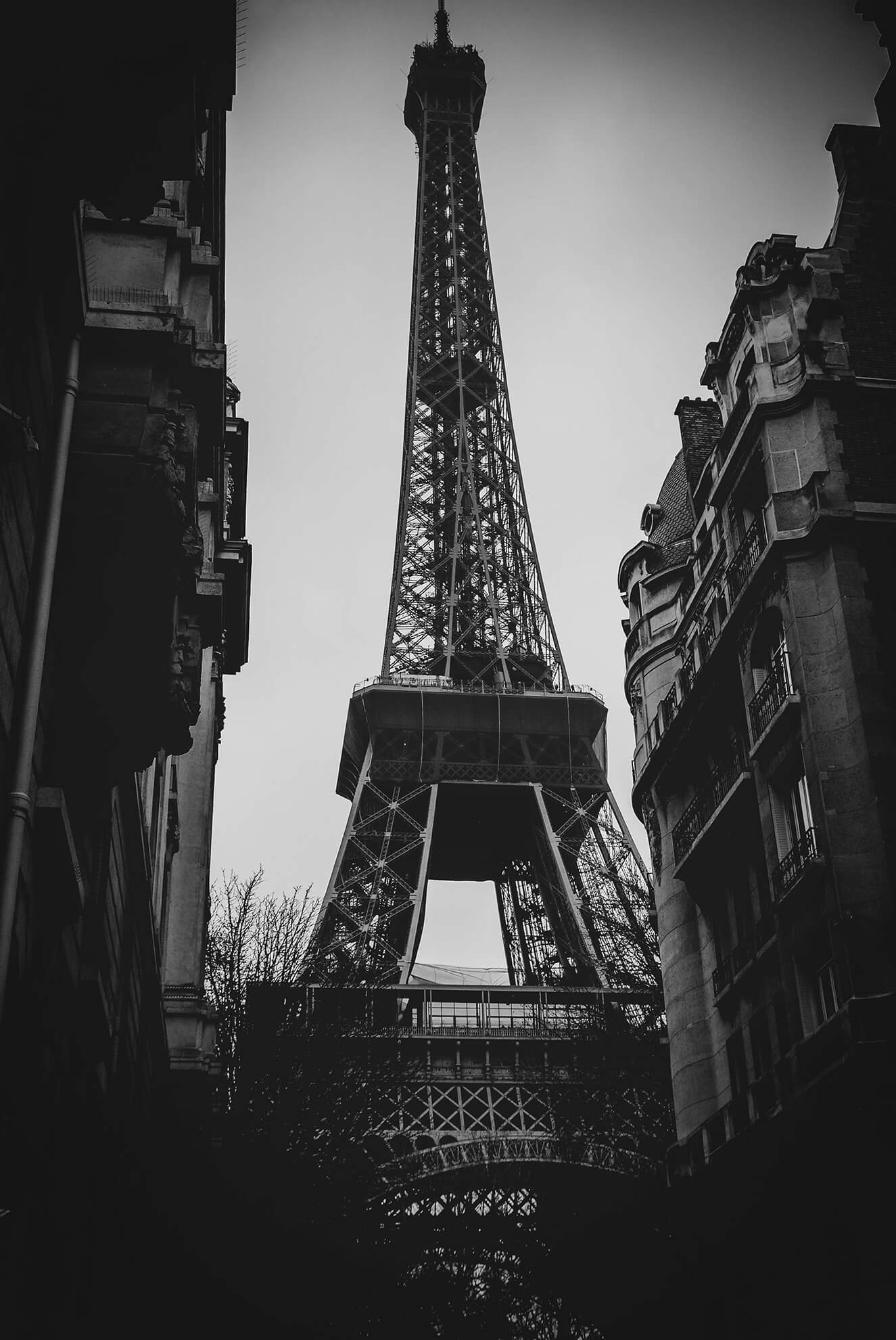 DSC_0516 4