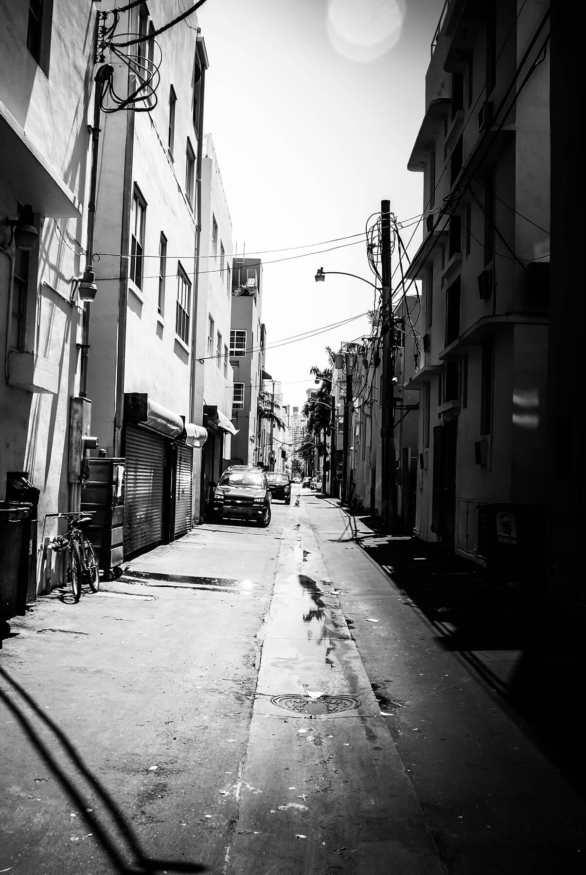 DSC_1132 2
