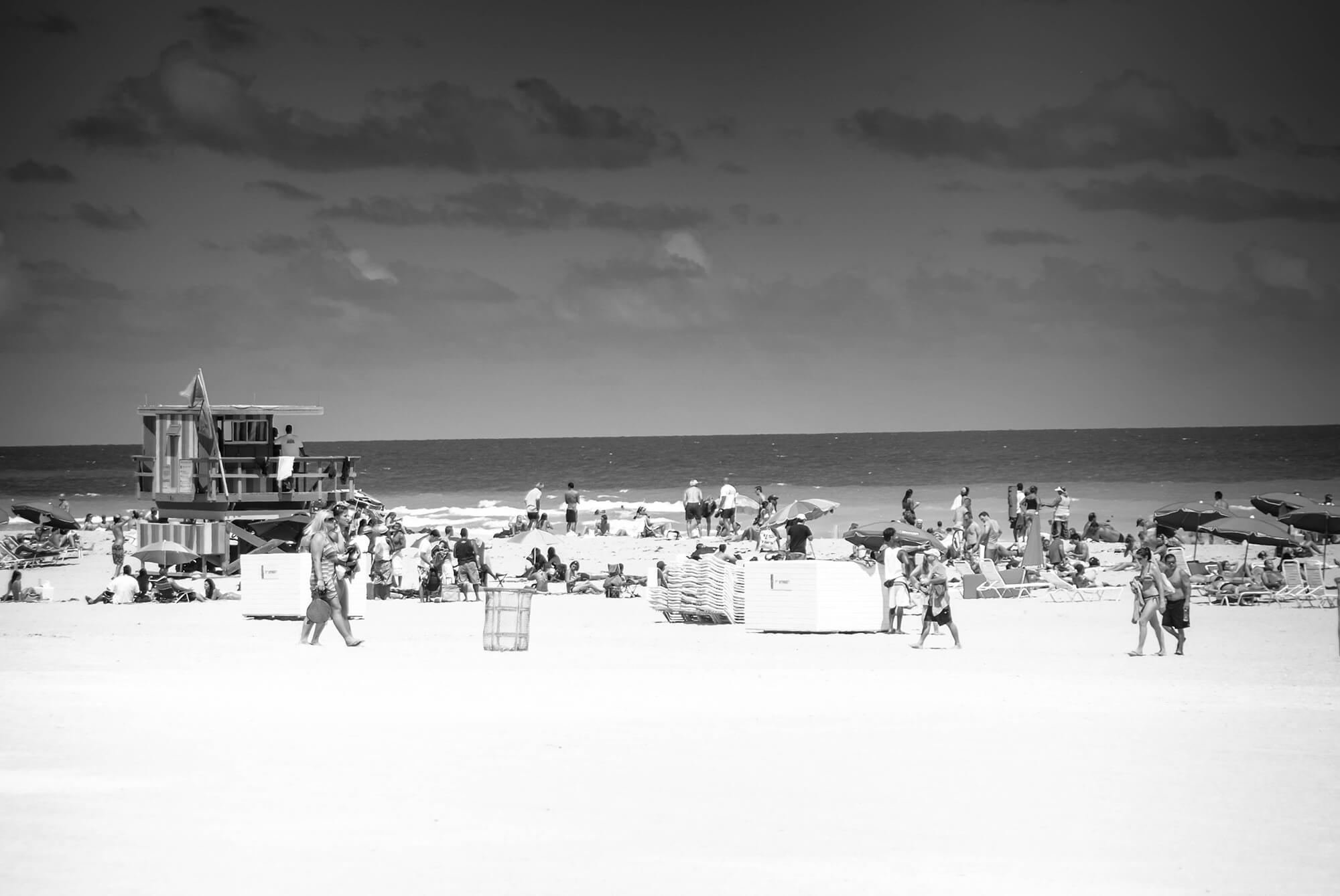 DSC_1137