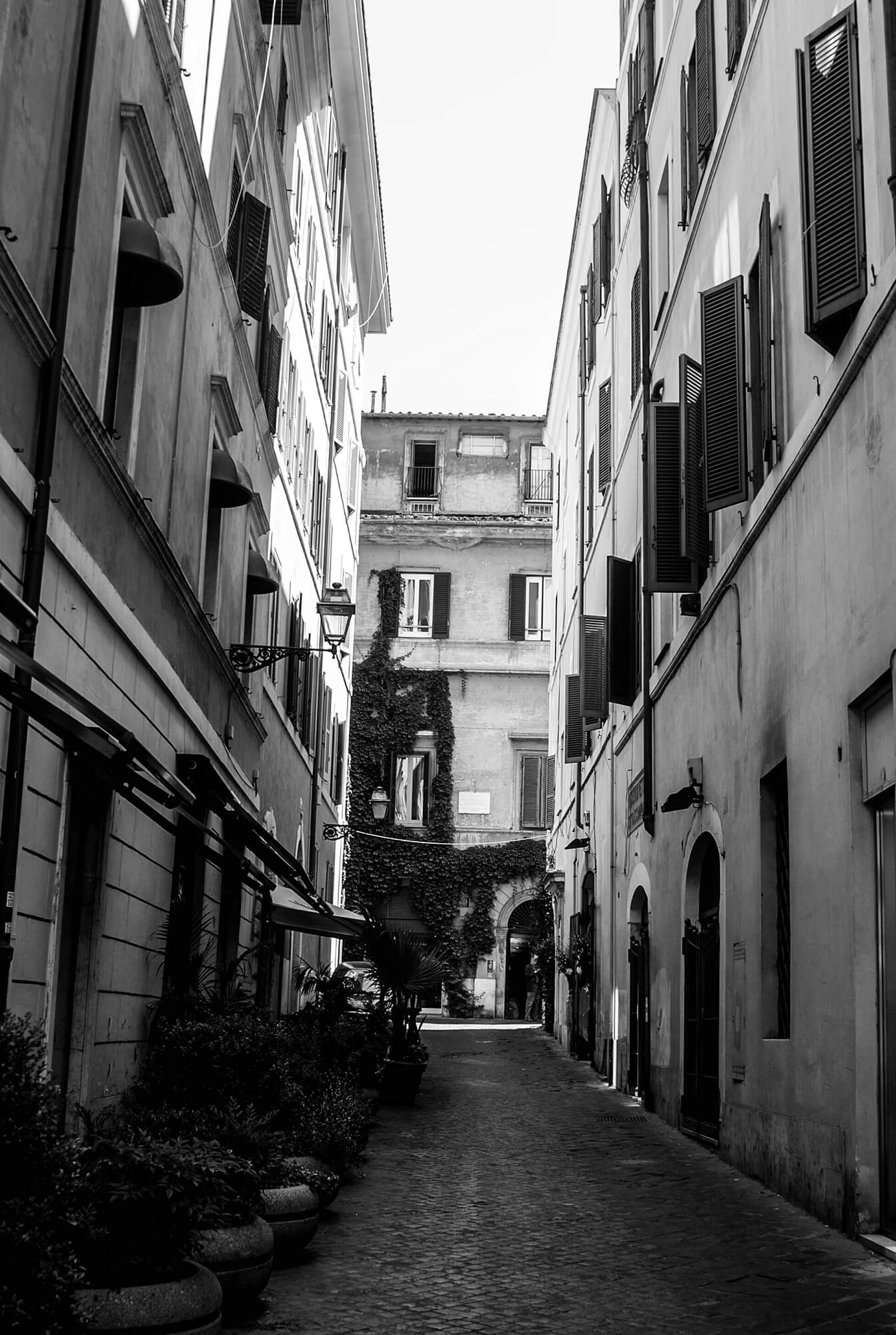 DSC_4140