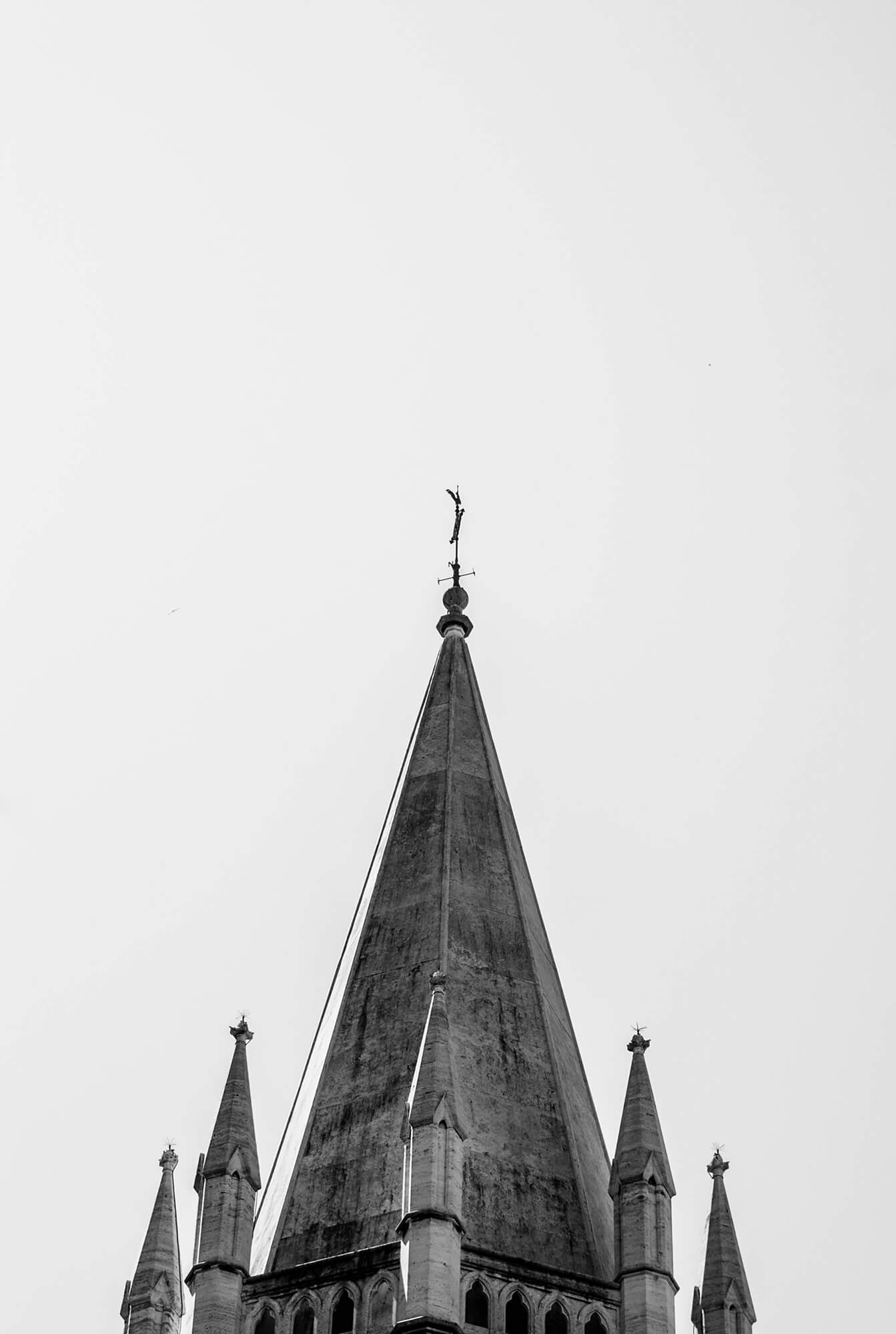 DSC_4142