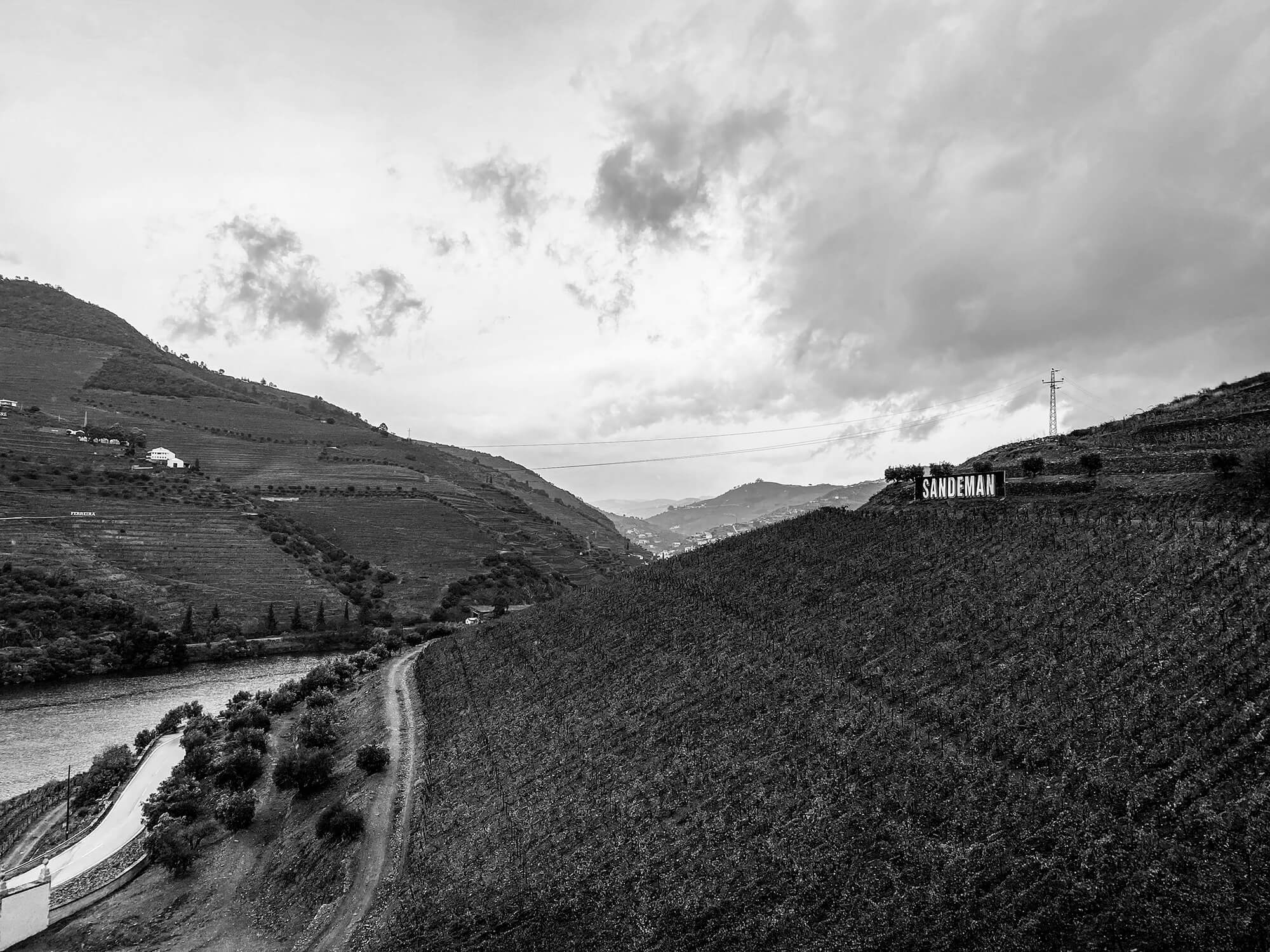 IMG_1477