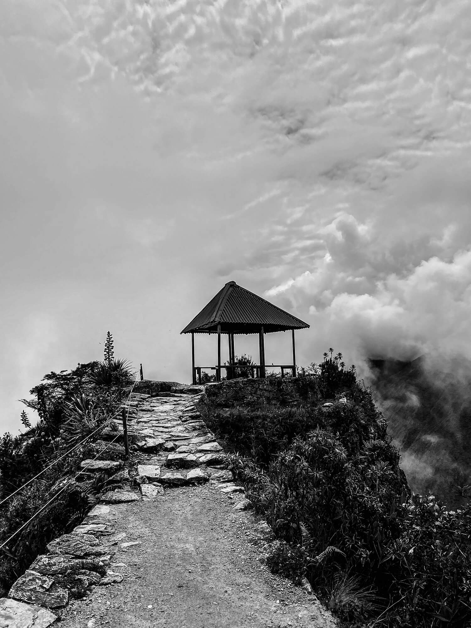 IMG_3961
