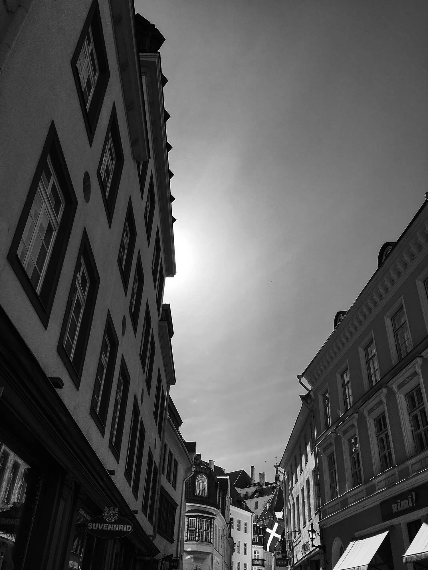 IMG_4105