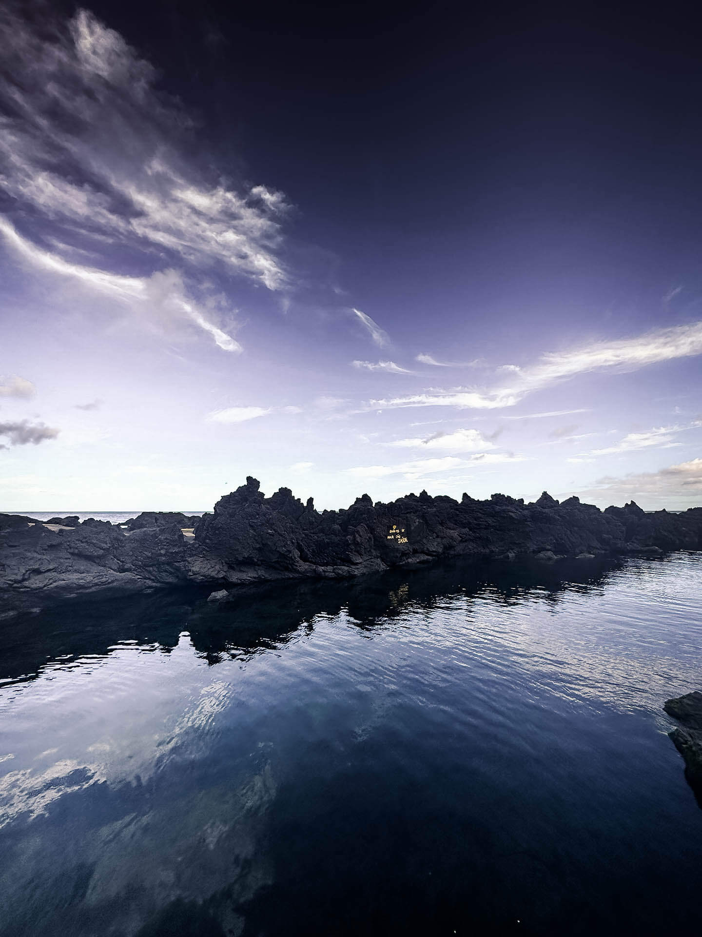 IMG_4239