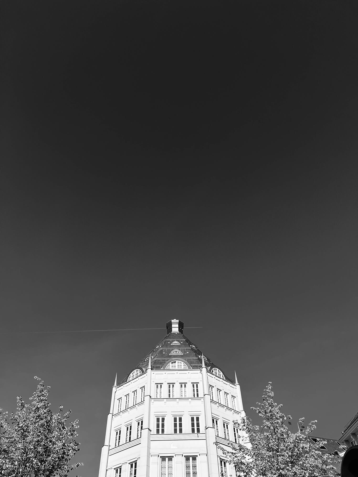 IMG_8278