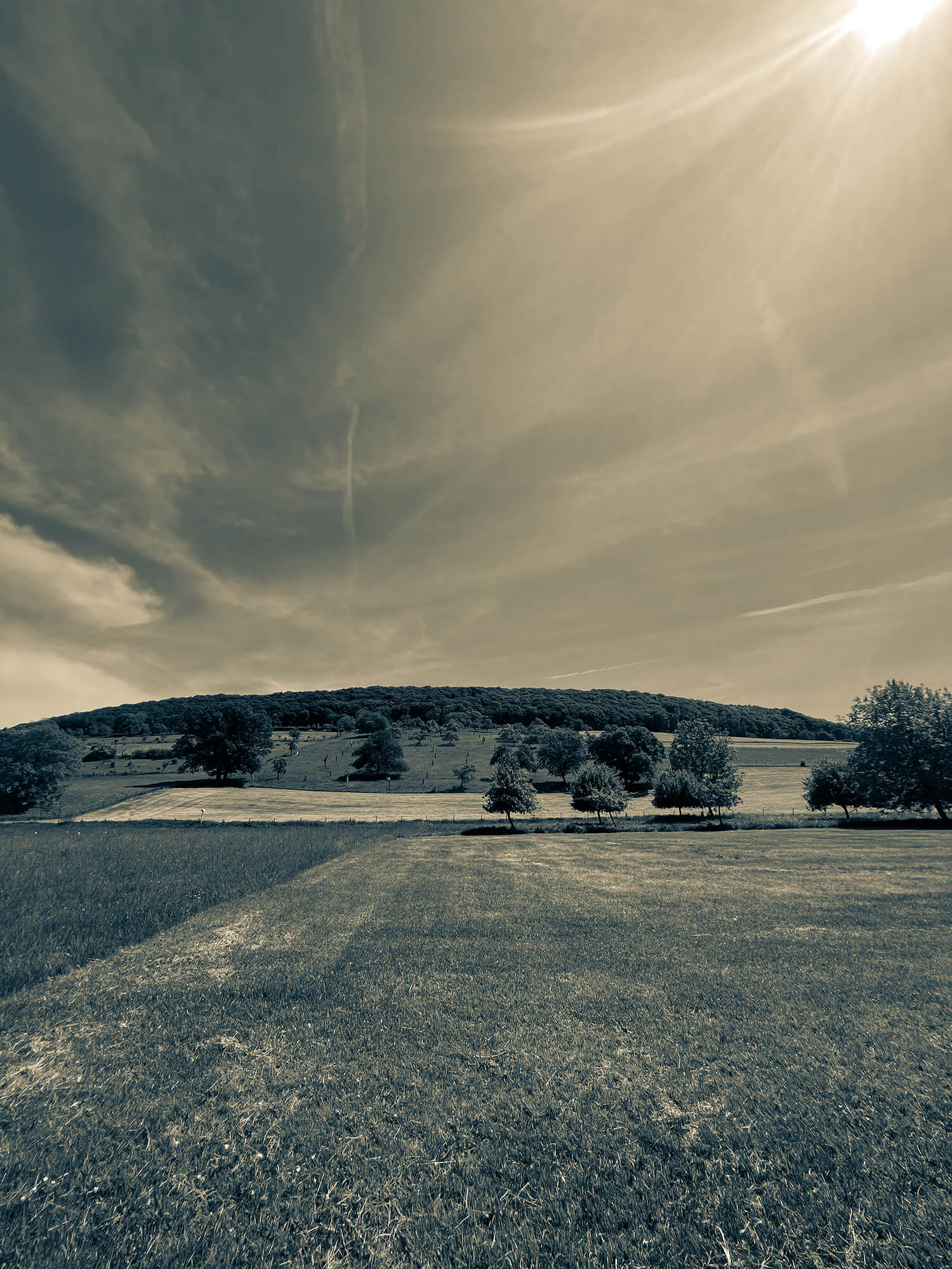 13704196_4dfb5cb5 2474-48be-bb6b-08874e4298ed