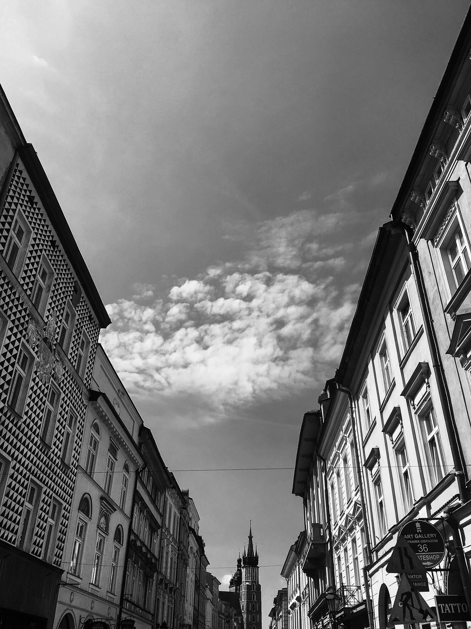 IMG_6305