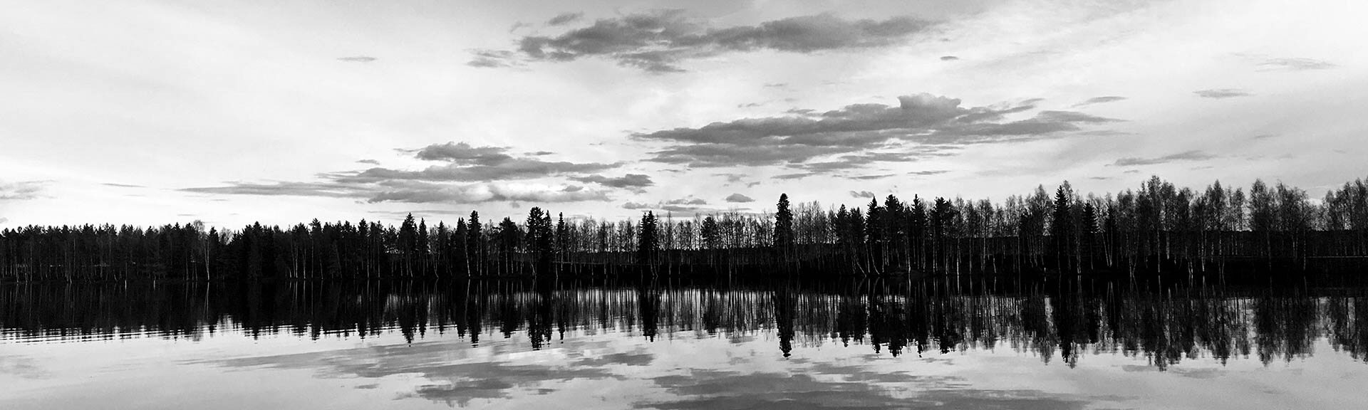 Landscapes_03